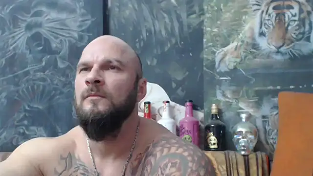 viking 30 online show from November 13, 2025, 7:51 pm