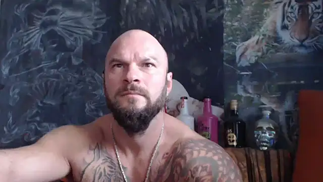 viking 30 online show from October 8, 2025, 10:17 am