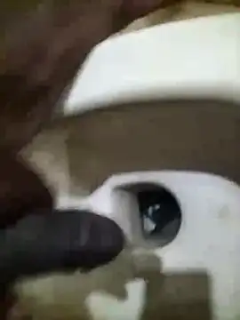 naxusxh online show from November 30, 2025, 4:30 pm