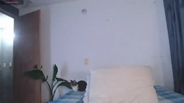 valen thompson online show from April 22, 2026, 3:46 am