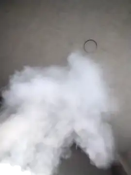 Chacal Armyy online show from November 14, 2025, 9:18 pm