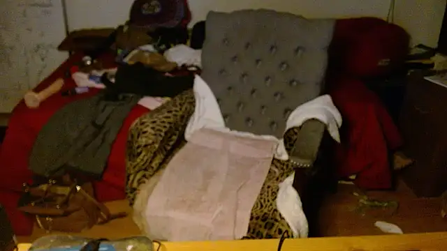 Snapshot of Transjoni chatting on January 8, 2026, 9:48 am Transjoni online show from January 8, 2026, 9:48 am