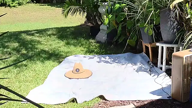 Snapshot of eliberator1777 chatting on September 21, 2025, 5:07 pm eliberator1777 online show from September 21, 2025, 5:07 pm