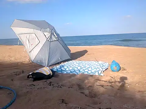 Snapshot of eliberator1777 chatting on February 6, 2025, 9:28 pm eliberator1777 online show from February 6, 2025, 9:28 pm