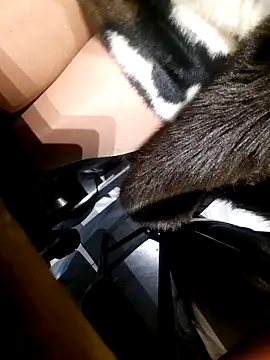 Dirtyfeelin online show from November 18, 2025, 2:42 pm