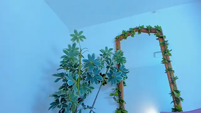 Snapshot of NinaWong chatting on February 26, 2026, 7:03 pm NinaWong online show from February 26, 2026, 7:03 pm