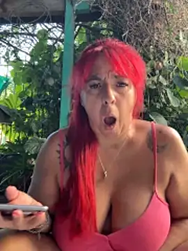 sofy alone online show from February 10, 2026, 11:31 am