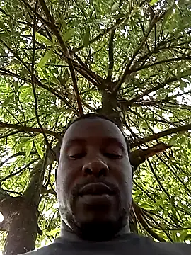 pussy-Diver online show from January 11, 2025, 2:36 pm