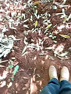 pussy-Diver online show from January 9, 2025, 7:52 am