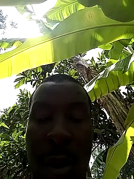 pussy-Diver online show from March 21, 2025, 11:12 am