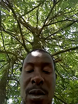 pussy-Diver online show from December 31, 2024, 8:04 am