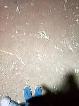 pussy-Diver online show from February 15, 2025, 4:23 pm