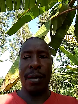 pussy-Diver online show from January 22, 2025, 5:37 am