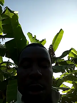 pussy-Diver online show from December 31, 2024, 2:14 pm