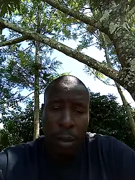 pussy-Diver online show from December 8, 2024, 8:51 am