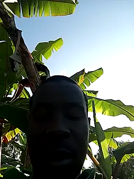 pussy-Diver online show from December 31, 2024, 5:00 am