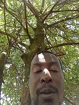 pussy-Diver online show from January 8, 2025, 8:38 am