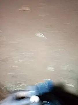 pussy-Diver online show from February 14, 2025, 4:31 pm