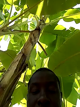 pussy-Diver online show from December 28, 2024, 7:55 am