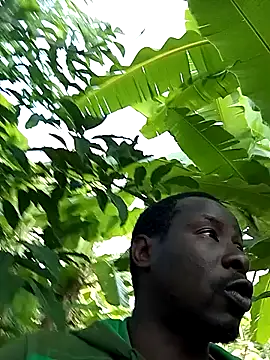 pussy-Diver online show from January 12, 2025, 4:52 am