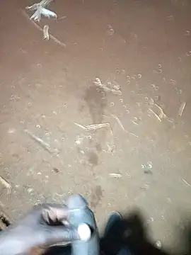 pussy-Diver online show from February 17, 2025, 5:23 pm