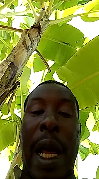 pussy-Diver online show from January 2, 2025, 8:06 am