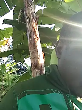 pussy-Diver online show from December 29, 2024, 4:38 am