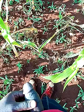 pussy-Diver online show from January 24, 2025, 5:21 am