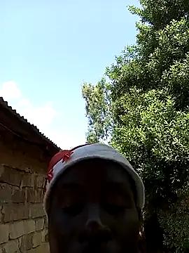 pussy-Diver online show from December 31, 2024, 11:09 am