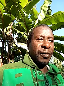 pussy-Diver online show from January 2, 2025, 4:41 am