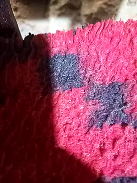 pussy-Diver online show from March 22, 2025, 6:03 pm