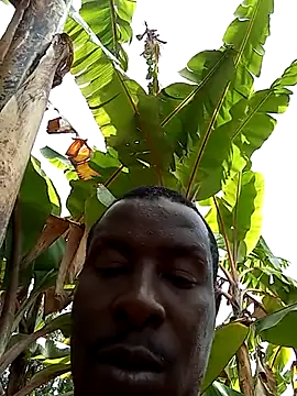 pussy-Diver online show from March 22, 2025, 7:47 am