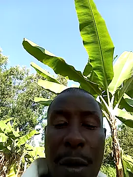 pussy-Diver online show from December 7, 2024, 1:02 pm