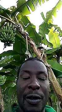 pussy-Diver online show from January 5, 2025, 4:25 am