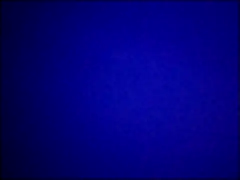 catdool online show from March 12, 2025, 1:47 am