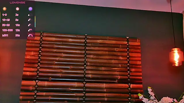 Snapshot of NikkiStarX chatting on October 14, 2025, 6:19 pm NikkiStarX online show from October 14, 2025, 6:19 pm