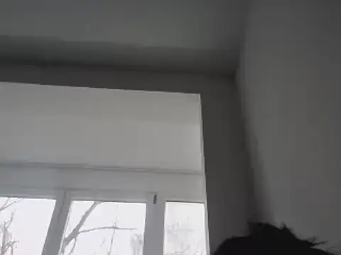 FallenDevil online show from January 25, 2025, 11:55 am