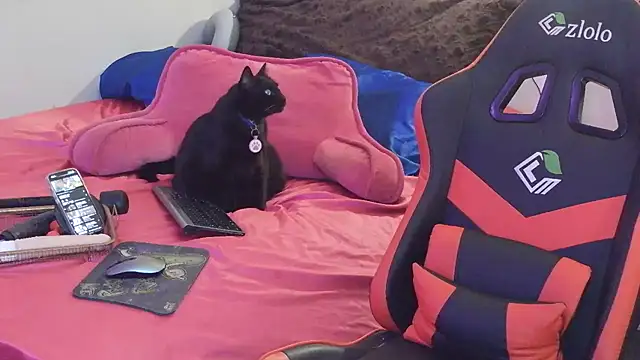 Snapshot of sugahfreeee chatting on December 14, 2025, 8:09 am sugahfreeee online show from December 14, 2025, 8:09 am