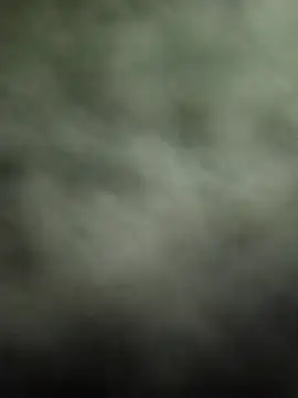 Prince R9 online show from January 22, 2025, 6:52 am