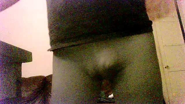 SDtinycok online show from September 22, 2025, 9:10 pm