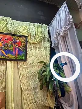 uma patna000 online show from February 4, 2025, 7:51 am