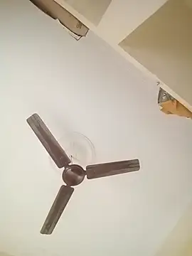 Indiantina online show from September 20, 2025, 12:21 pm