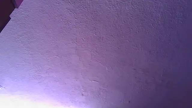 annarose19 online show from December 17, 2025, 4:01 pm