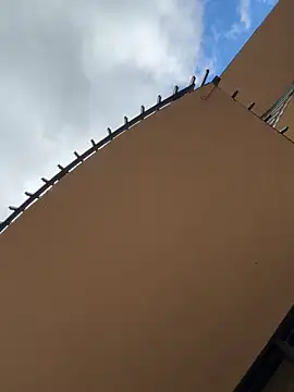 short sweetpea online show from September 12, 2025, 5:56 pm