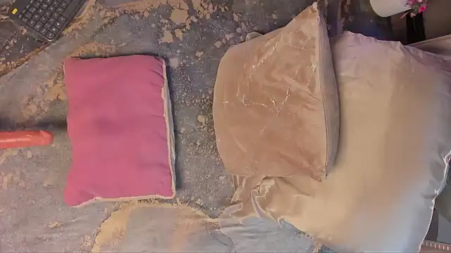 Sia 37 online show from April 22, 2026, 3:57 am