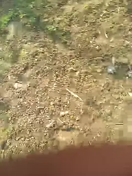 FinableKnee online show from October 27, 2025, 5:08 am