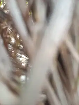 FinableKnee online show from September 19, 2025, 4:49 am