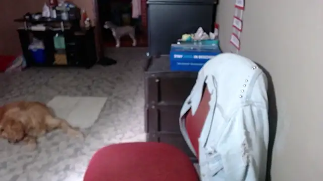 Barbiegomez online show from March 17, 2026, 6:11 pm