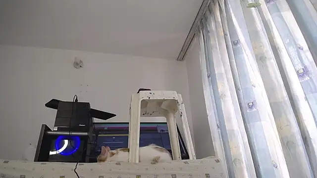 eolicasex online show from March 13, 2025, 4:12 pm