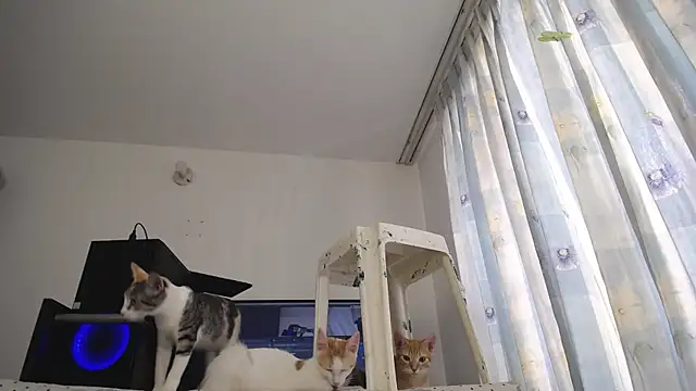 eolicasex online show from March 7, 2025, 4:00 pm